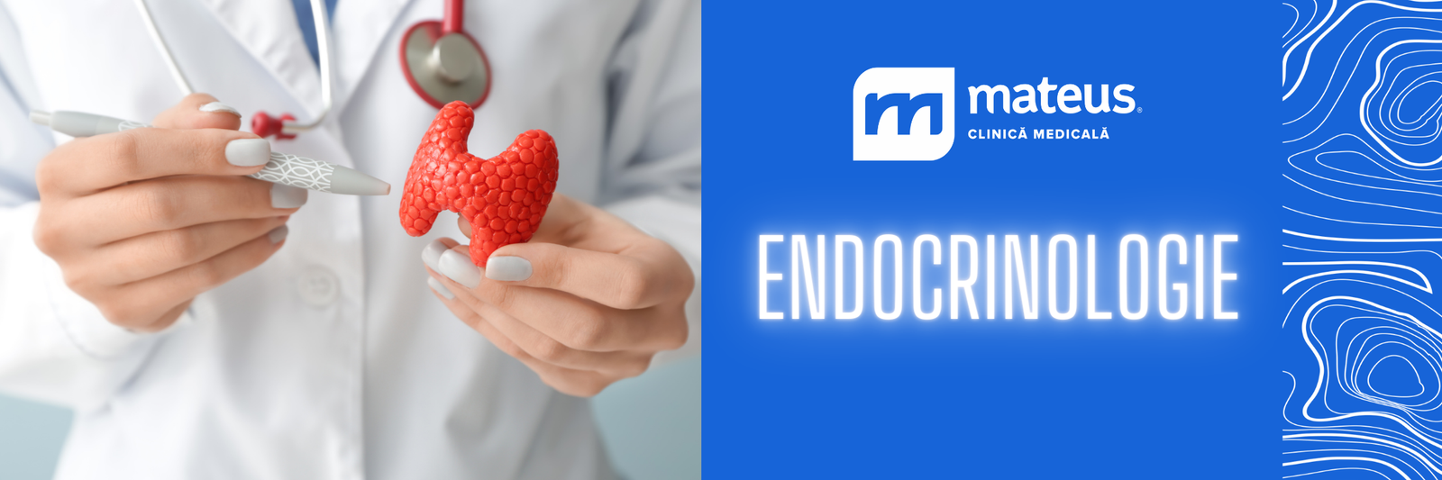 endocinologie-cover